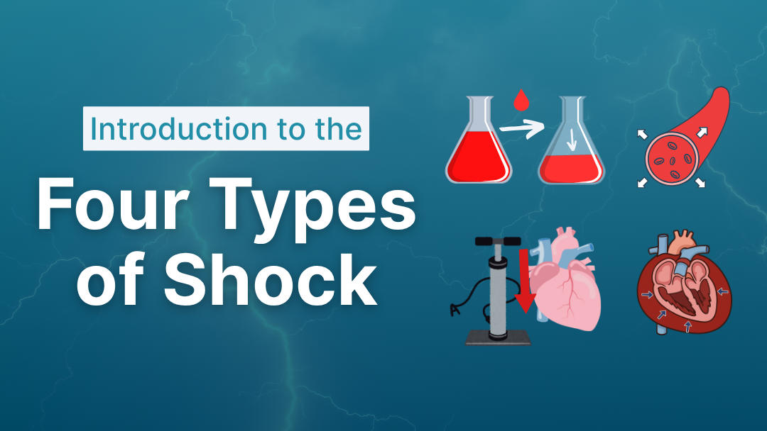 Normal Shock Visualized Vital Sign Trends in Shock - Limmer Education