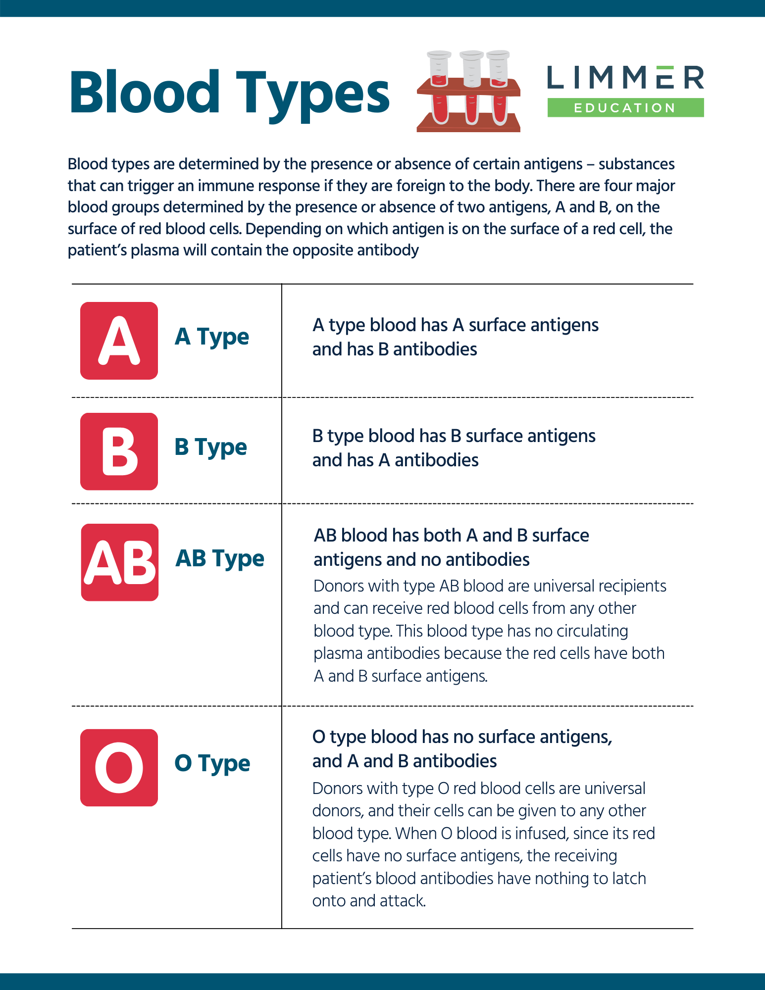 blood types antigens and antibodies