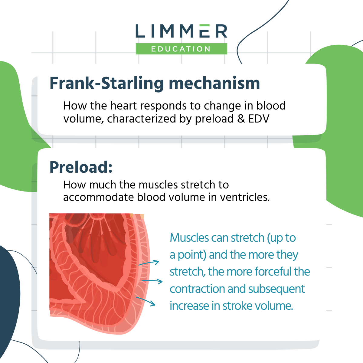 cardiac-output_frank-starling_preload