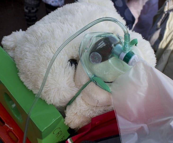 large teddy bear wearing non-rebreather mask, cropped