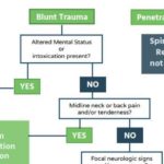 snippet of flowchart for spinal motion restriction