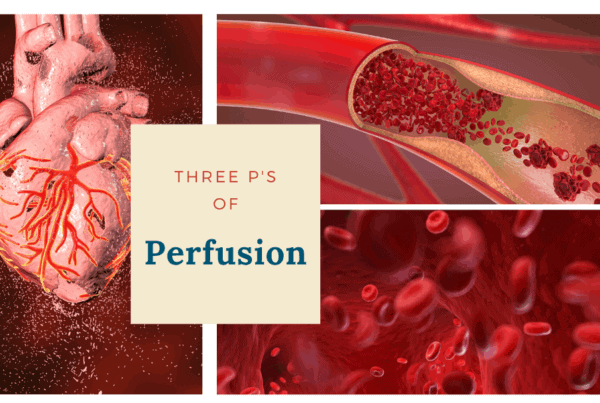 heart, vein, blood cells; text says: three P's of Perfusion