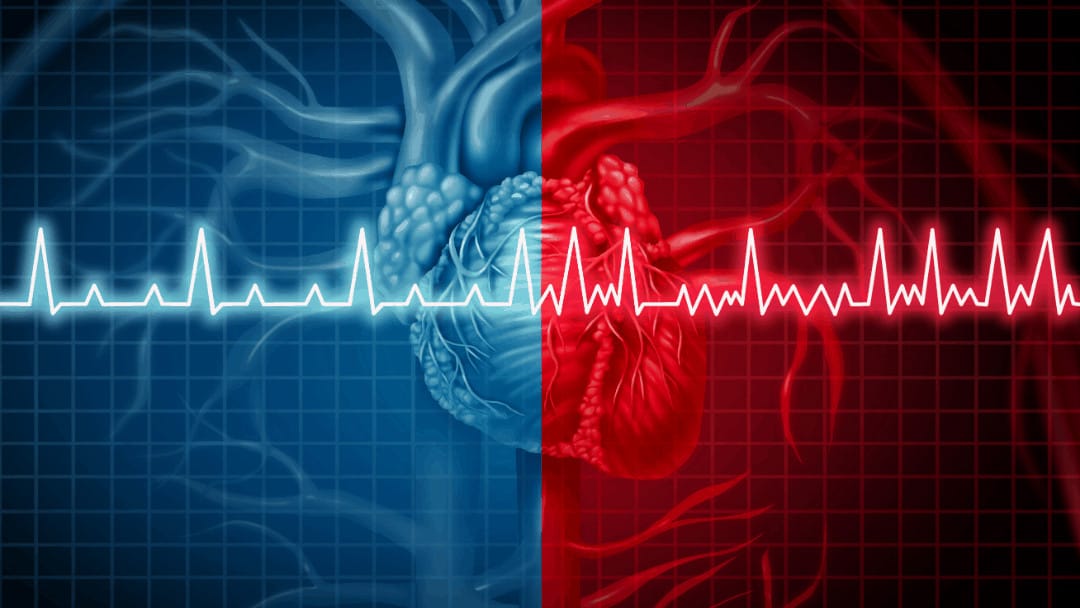 heart with ECG rhythm, left side is blue right side is red