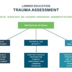 flowchart for mechanism of injury trauma assessment