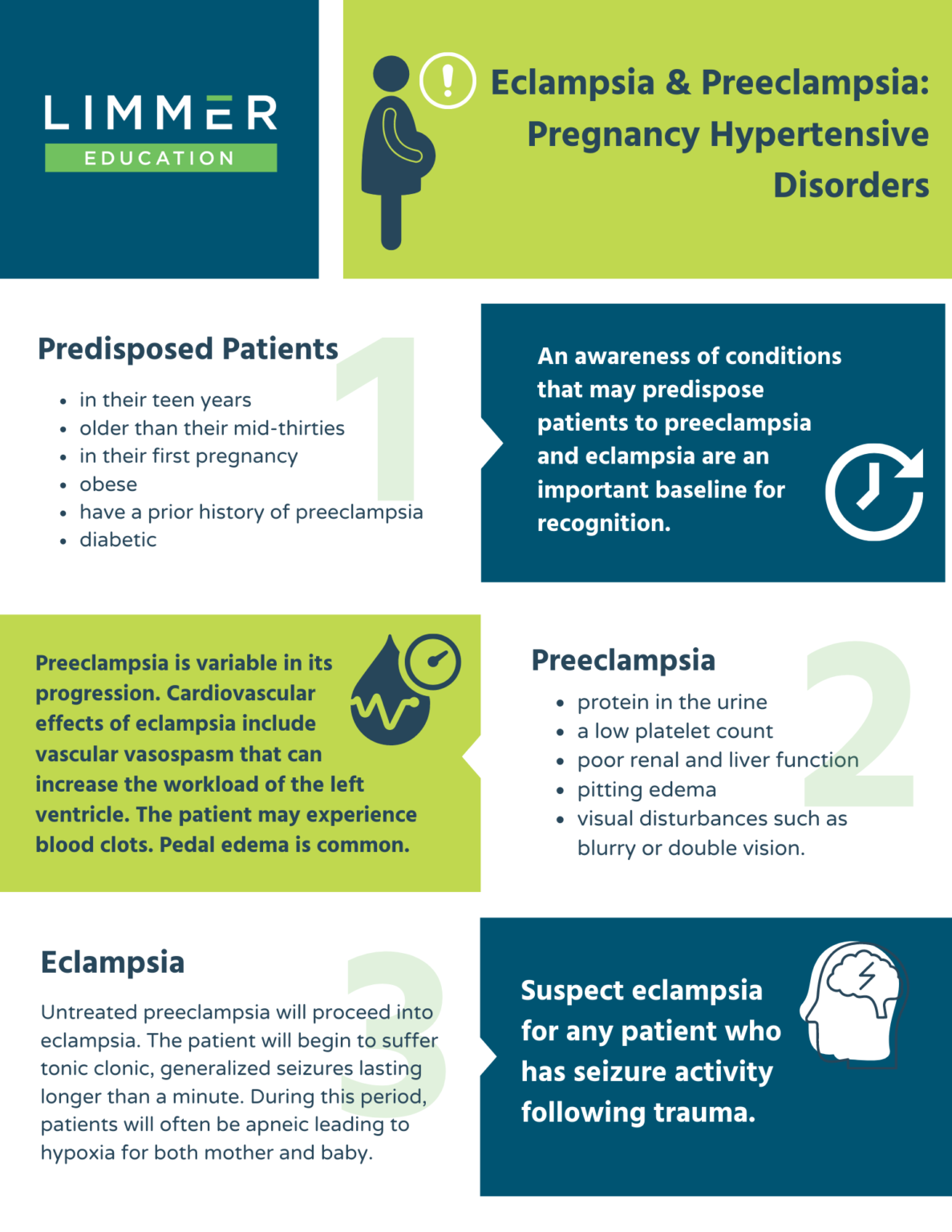 Eclampsia & Preeclampsia: Pregnancy Hypertensive Disorders – Limmer ...