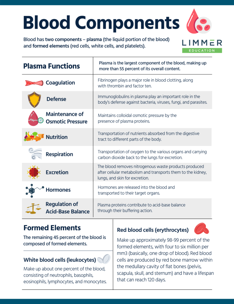 Back To The Basics: Hematology – Limmer Education, LLC