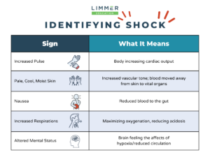 Graphic table showing the signs of shock (increased pulse, pale cool moist skin, etc.) and what each sign means